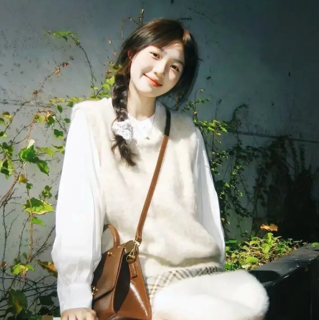 迈耶斯家的圣诞节